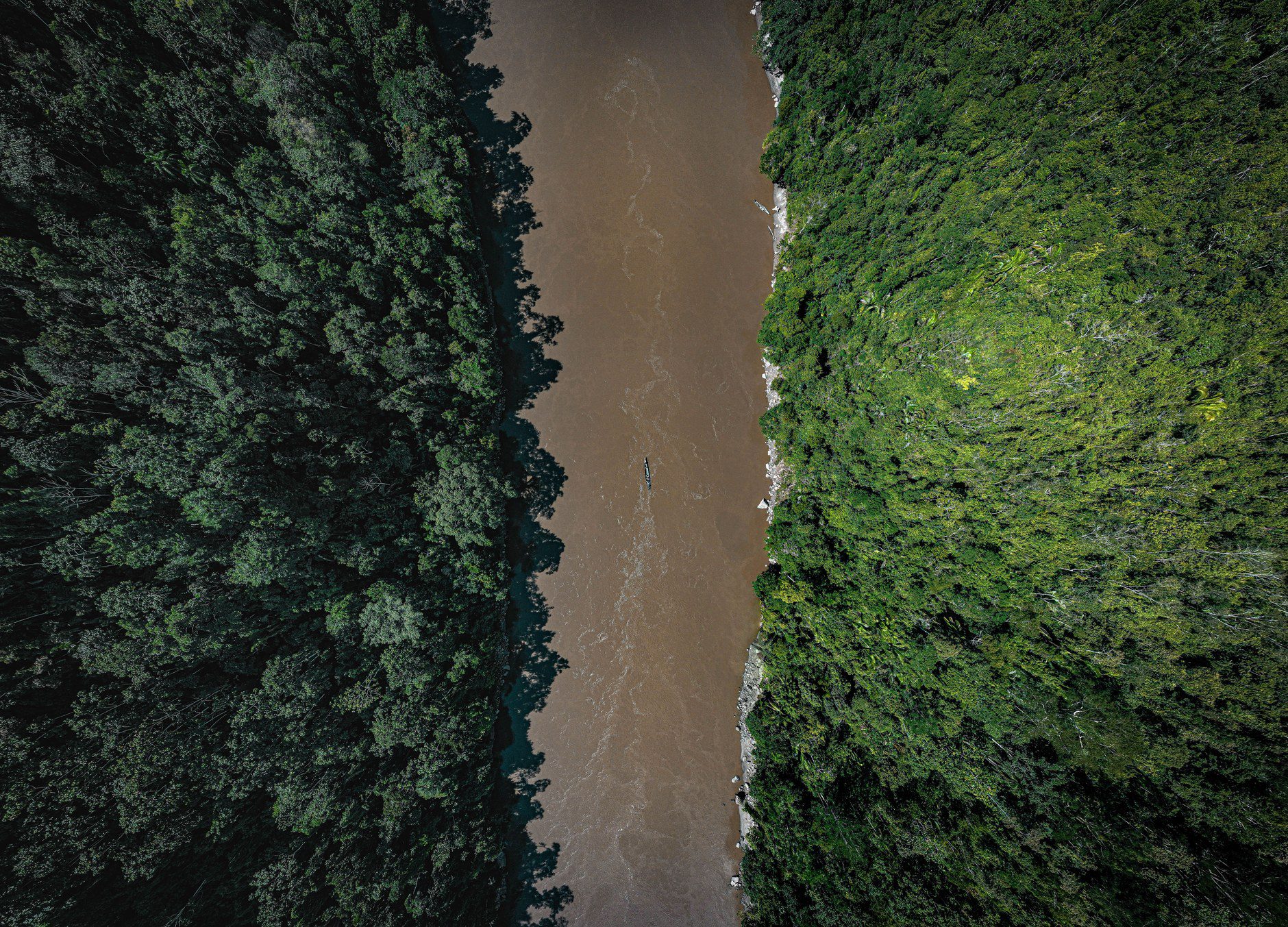 Guyana Travel Guide: Kaieteur Falls, Iwokrama Canopy, and Rupununi Safaris