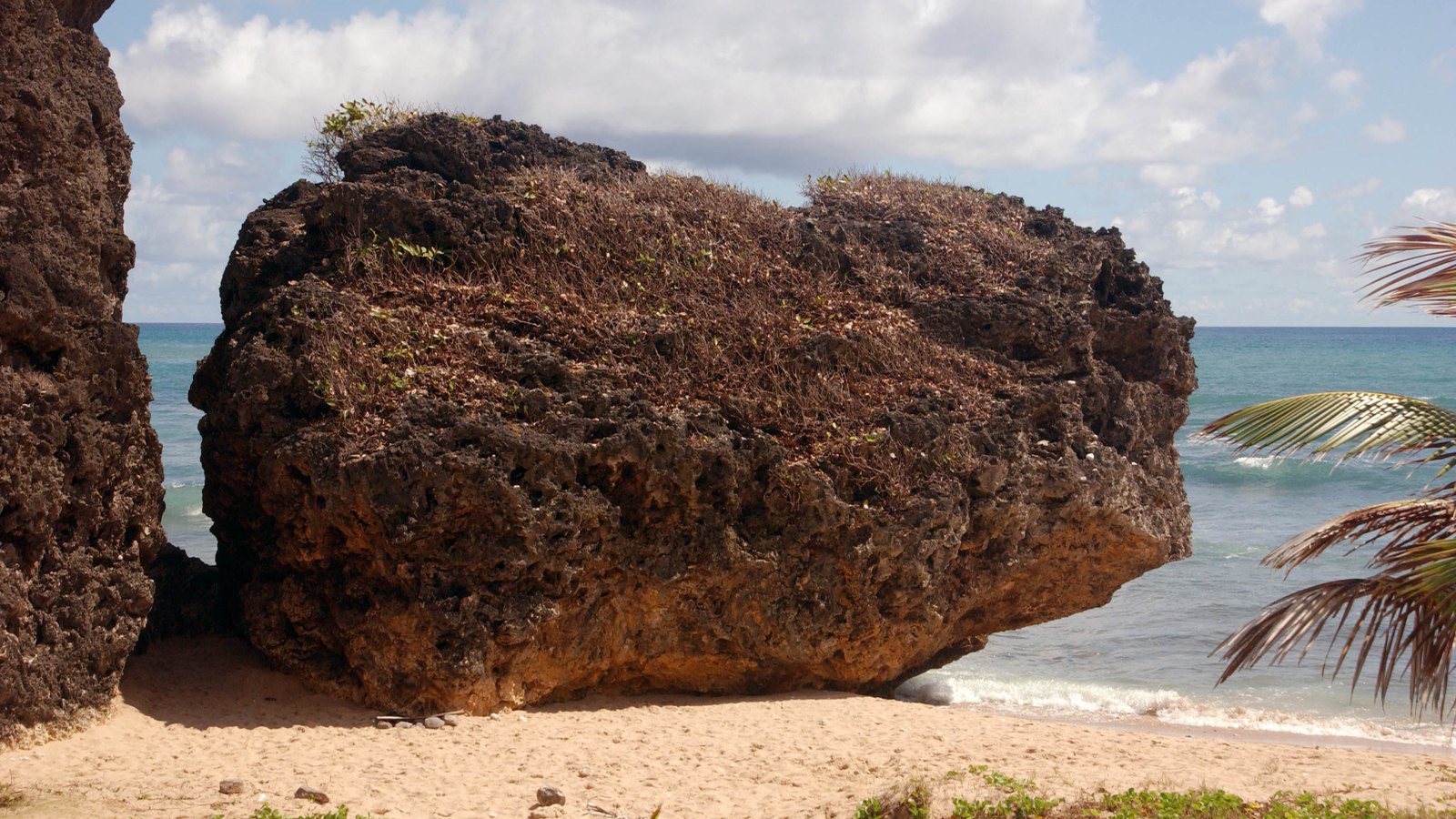 Scenic travel view of Bathsheba Rock and Atlantic surf in St. Joseph Parish, Barbados