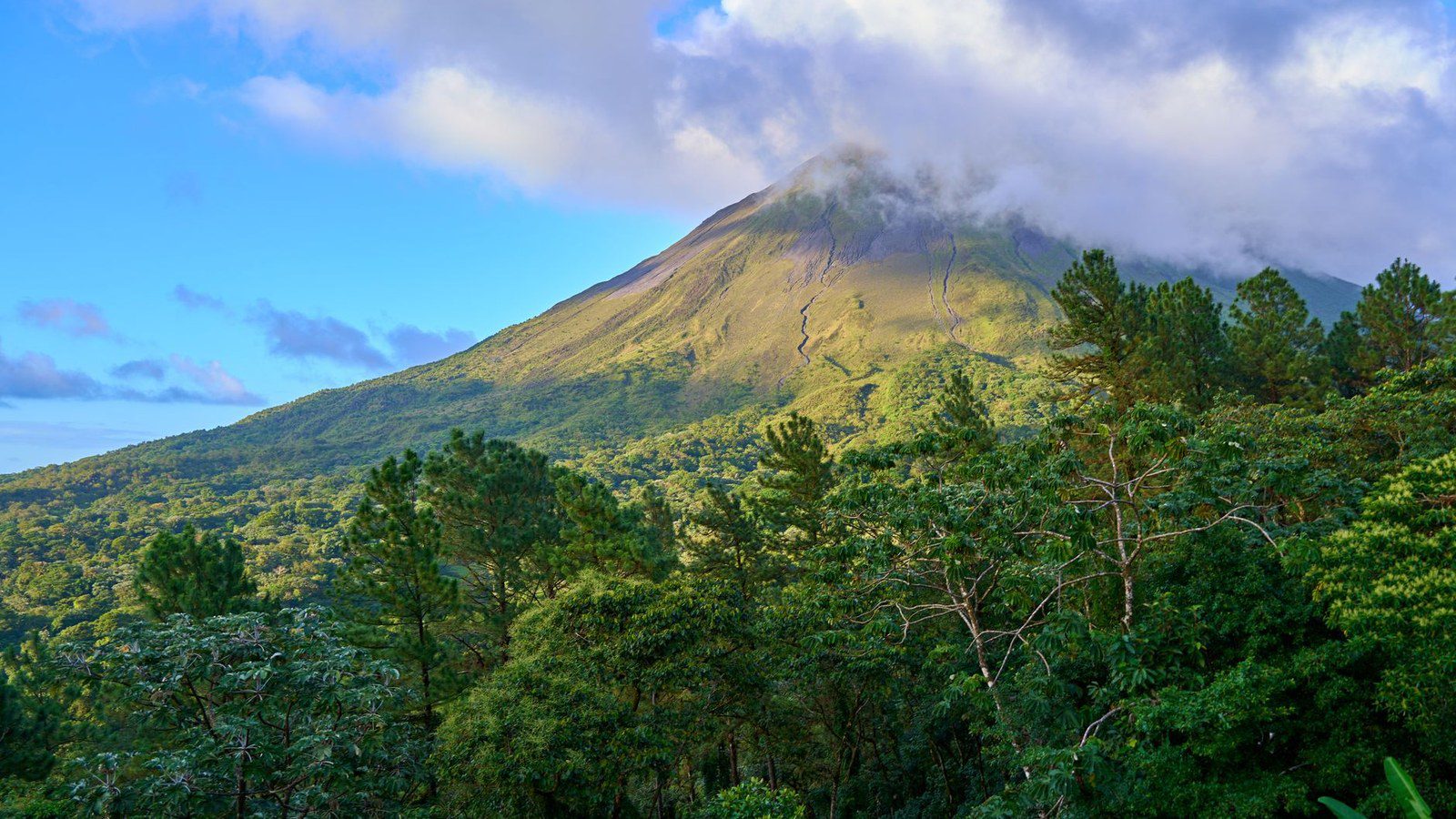 Breathtaking view of a lush green landscape with a majestic volcanic mountain under a cloudy sky.