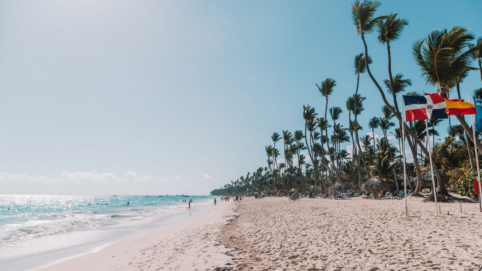 Beautiful beach scene in Punta Cana, Dominican Republic, with clear skies and palm trees waving in the breeze.
