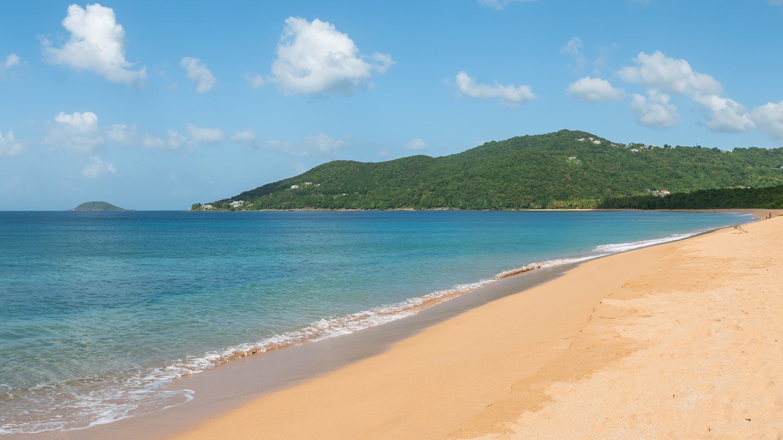 Scenic travel view of golden sands at Plage de Grande Anse in Deshaies, Guadeloupe