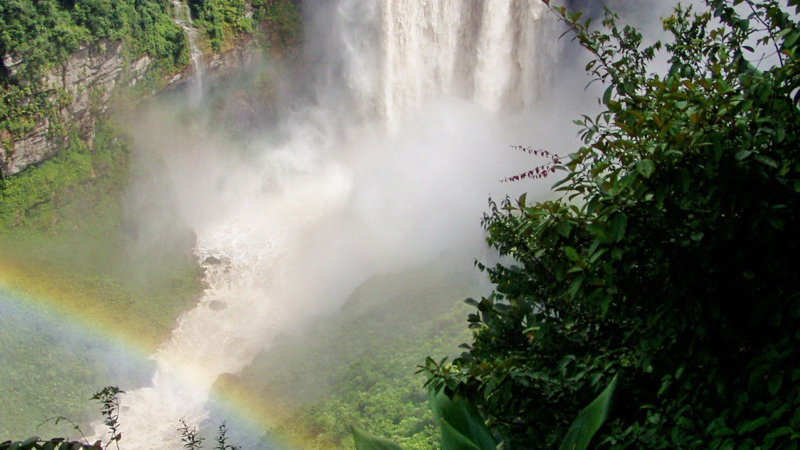 Spectacular powerful plunge waterfall of Kaieteur Falls dropping over sandstone cliffs in the rainforest of Guyana