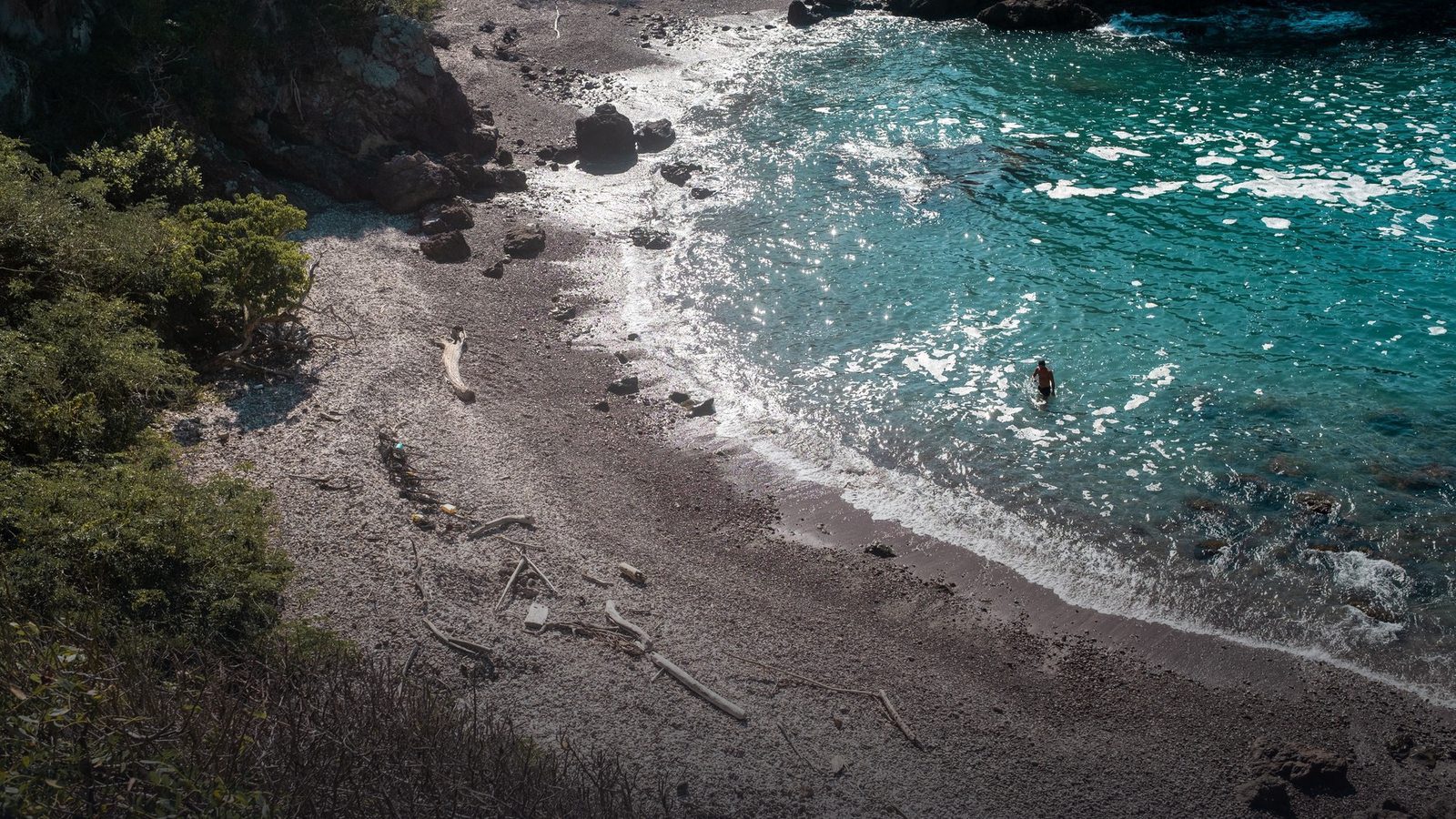 Freshwater river flowing through dense tropical jungle foliage into the turquoise waters of a secluded Caribbean ocean cove