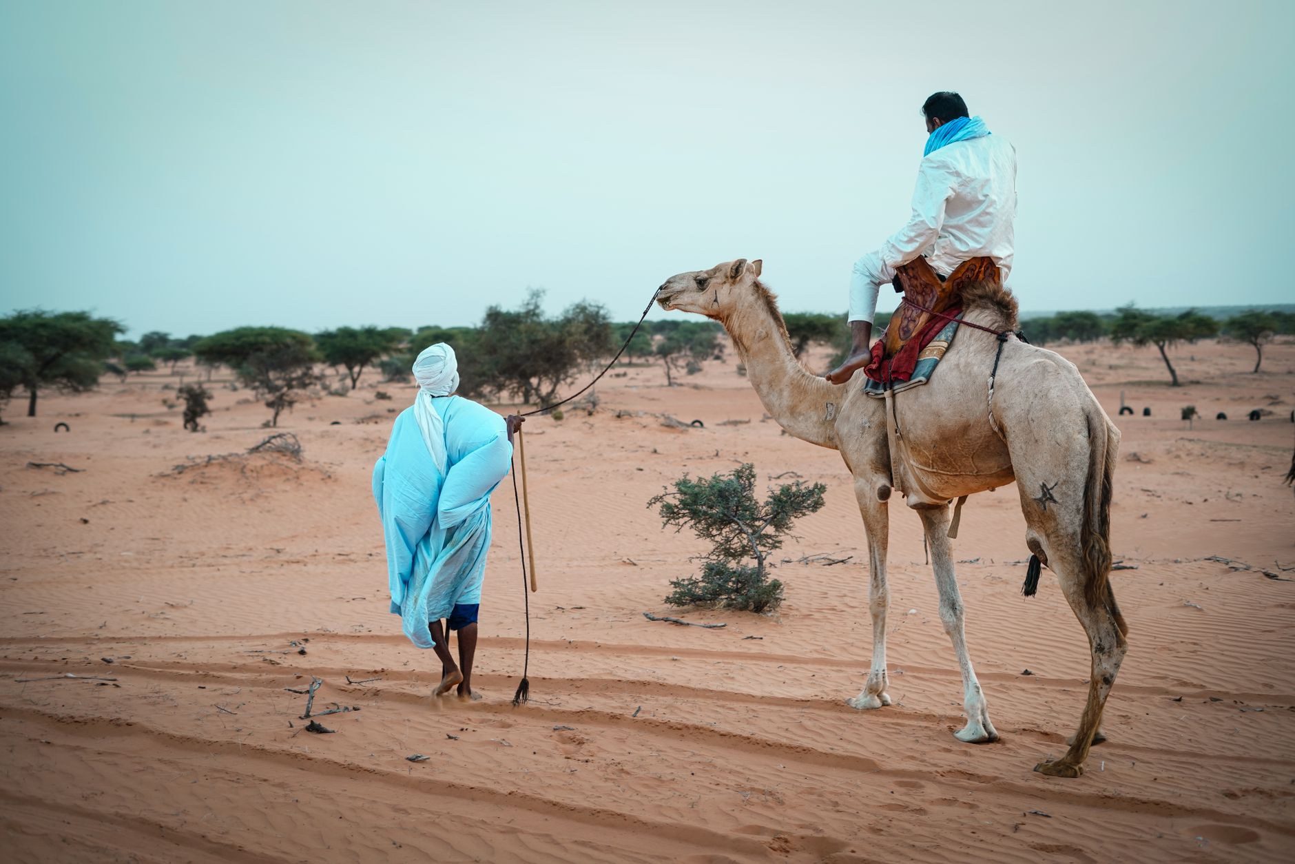 Chinguetti, the Adrar, and the Iron Ore Train: A Realistic 8-Day Mauritania Expedition