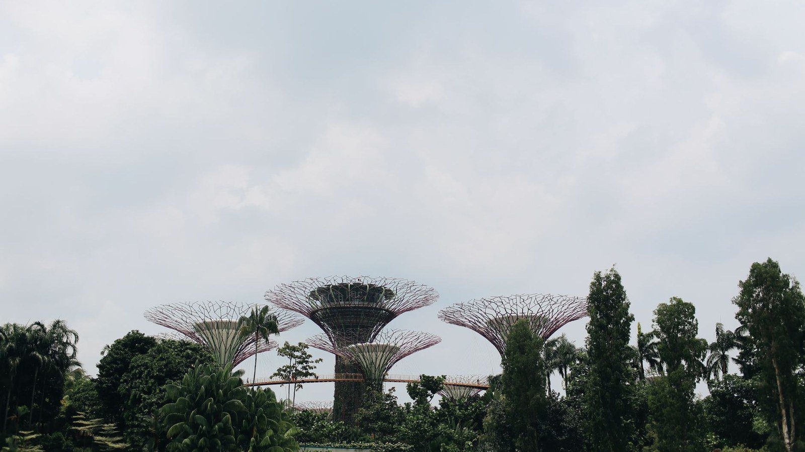 Futuristic Supertree structures at Gardens by the Bay