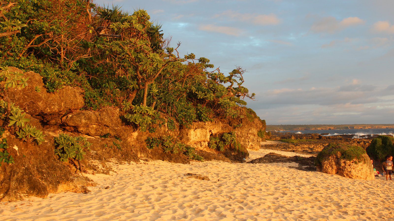 Scenic travel view of coral reef coastline on southern Tongatapu island, Tonga