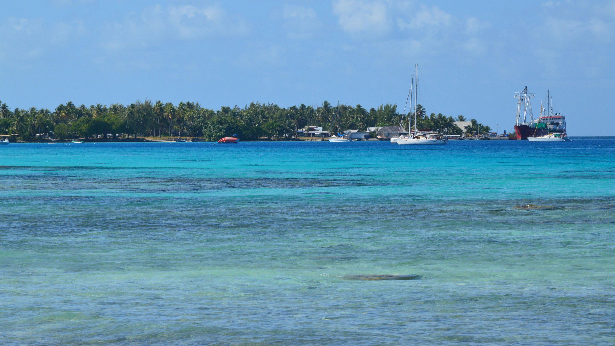 Tonga Travel Guide: Tongatapu, Vava’u Whales & South Pacific Logistics